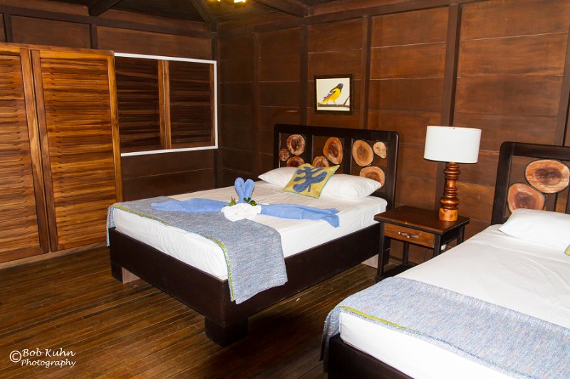 IMG_6138-2-Chachagua Rainforest Hotel.jpg